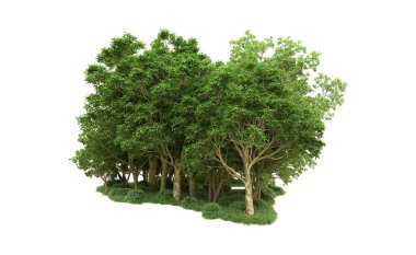 Yeşil orman ıssız. Afişler ve afişler için kullanışlı. 3d oluşturma.