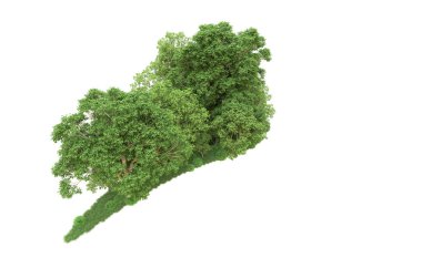Yeşil orman ıssız. Afişler ve afişler için kullanışlı. 3d oluşturma.