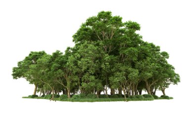 Yeşil orman ıssız. Afişler ve afişler için kullanışlı. 3d oluşturma.