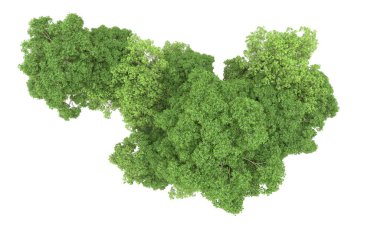 Yeşil orman ıssız. Afişler ve afişler için kullanışlı. 3d oluşturma.