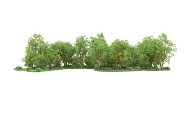 Yeşil orman ıssız. Afişler ve afişler için kullanışlı. 3d oluşturma.