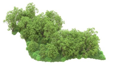 Yeşil orman ıssız. Afişler ve afişler için kullanışlı. 3d oluşturma.