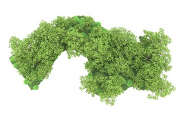 Yeşil orman ıssız. Afişler ve afişler için kullanışlı. 3d oluşturma.