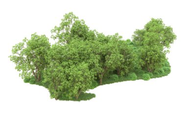 Yeşil orman ıssız. Afişler ve afişler için kullanışlı. 3d oluşturma.