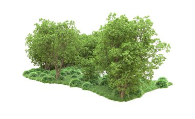 Yeşil orman ıssız. Afişler ve afişler için kullanışlı. 3d oluşturma.