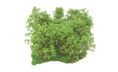Yeşil orman ıssız. Afişler ve afişler için kullanışlı. 3d oluşturma.