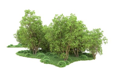 Yeşil orman ıssız. Afişler ve afişler için kullanışlı. 3d oluşturma.