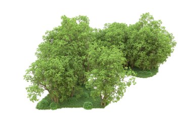 Yeşil orman ıssız. Afişler ve afişler için kullanışlı. 3d oluşturma.