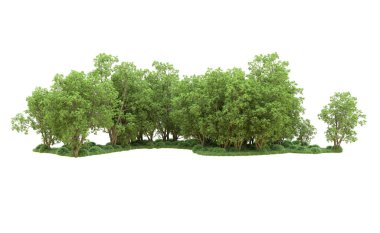 Yeşil orman ıssız. Afişler ve afişler için kullanışlı. 3d oluşturma.