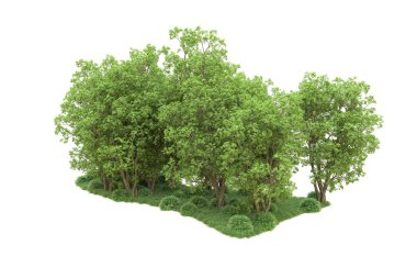 Yeşil orman ıssız. Afişler ve afişler için kullanışlı. 3d oluşturma.