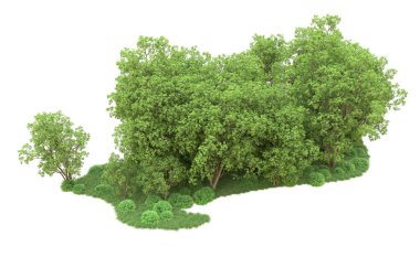 Yeşil orman ıssız. Afişler ve afişler için kullanışlı. 3d oluşturma.