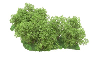 Yeşil orman ıssız. Afişler ve afişler için kullanışlı. 3d oluşturma.