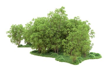 Yeşil orman ıssız. Afişler ve afişler için kullanışlı. 3d oluşturma.