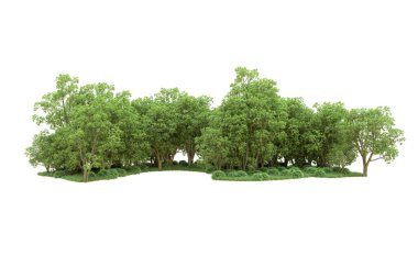 Yeşil orman ıssız. Afişler ve afişler için kullanışlı. 3d oluşturma.