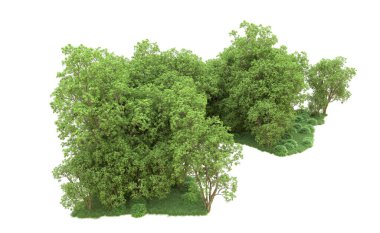 Yeşil orman ıssız. Afişler ve afişler için kullanışlı. 3d oluşturma.