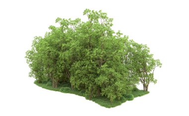 Yeşil orman ıssız. Afişler ve afişler için kullanışlı. 3d oluşturma.