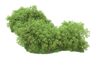 Yeşil orman ıssız. Afişler ve afişler için kullanışlı. 3d oluşturma.