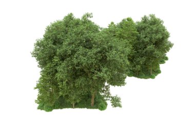 Yeşil orman ıssız. Afişler ve afişler için kullanışlı. 3d oluşturma.