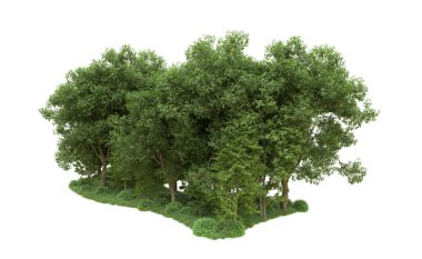 Yeşil orman ıssız. Afişler ve afişler için kullanışlı. 3d oluşturma.