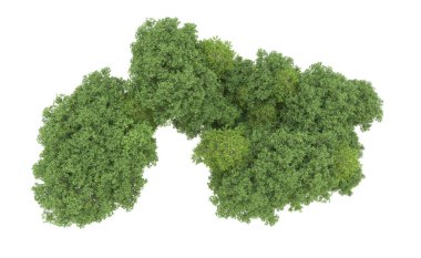 Yeşil orman ıssız. Afişler ve afişler için kullanışlı. 3d oluşturma.