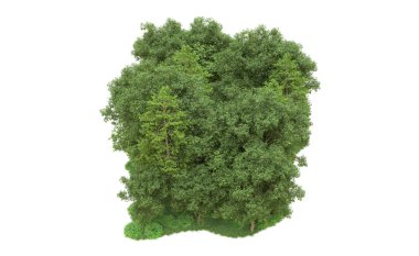 Yeşil orman ıssız. Afişler ve afişler için kullanışlı. 3d oluşturma.