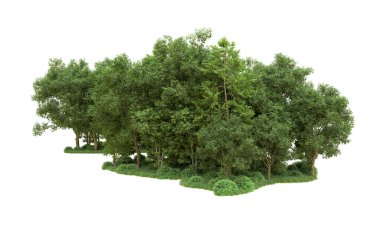 Yeşil orman ıssız. Afişler ve afişler için kullanışlı. 3d oluşturma.