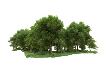 Yeşil orman ıssız. Afişler ve afişler için kullanışlı. 3d oluşturma.