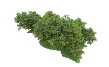 Yeşil orman ıssız. Afişler ve afişler için kullanışlı. 3d oluşturma.