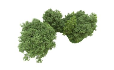 Yeşil orman ıssız. Afişler ve afişler için kullanışlı. 3d oluşturma.