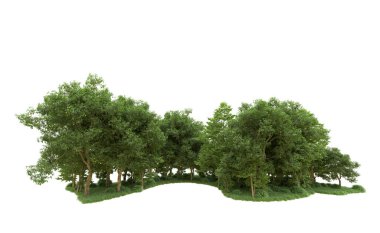Yeşil orman ıssız. Afişler ve afişler için kullanışlı. 3d oluşturma.