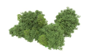 Yeşil orman ıssız. Afişler ve afişler için kullanışlı. 3d oluşturma.