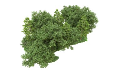 Yeşil orman ıssız. Afişler ve afişler için kullanışlı. 3d oluşturma.