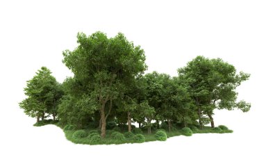 Yeşil orman ıssız. Afişler ve afişler için kullanışlı. 3d oluşturma.