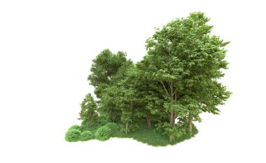 Yeşil orman ıssız. Afişler ve afişler için kullanışlı. 3d oluşturma.