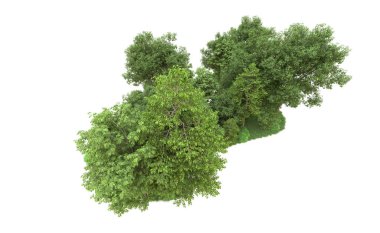 Yeşil orman ıssız. Afişler ve afişler için kullanışlı. 3d oluşturma.