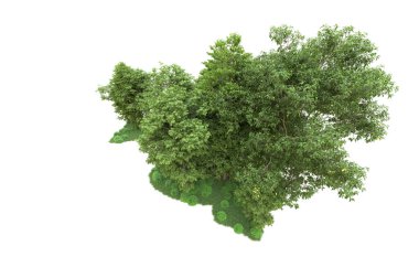 Yeşil orman ıssız. Afişler ve afişler için kullanışlı. 3d oluşturma.