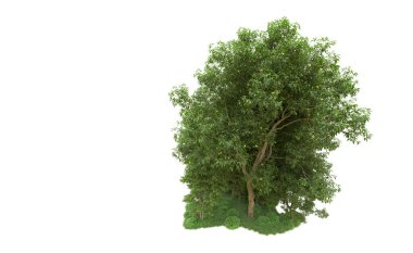 Yeşil orman ıssız. Afişler ve afişler için kullanışlı. 3d oluşturma.