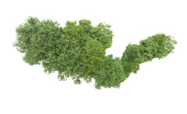Yeşil orman ıssız. Afişler ve afişler için kullanışlı. 3d oluşturma.