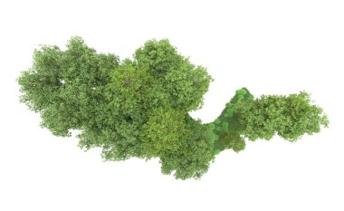 Yeşil orman ıssız. Afişler ve afişler için kullanışlı. 3d oluşturma.