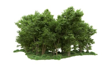 Yeşil orman ıssız. Afişler ve afişler için kullanışlı. 3d oluşturma.