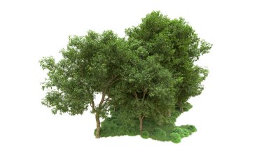 Yeşil orman ıssız. Afişler ve afişler için kullanışlı. 3d oluşturma.