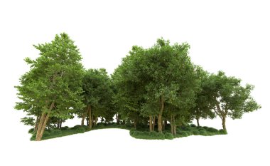 Yeşil orman ıssız. Afişler ve afişler için kullanışlı. 3d oluşturma.
