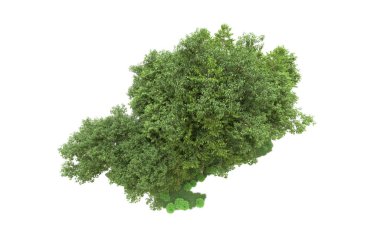 Yeşil orman ıssız. Afişler ve afişler için kullanışlı. 3d oluşturma.