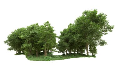 Yeşil orman ıssız. Afişler ve afişler için kullanışlı. 3d oluşturma.