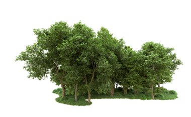 Yeşil orman ıssız. Afişler ve afişler için kullanışlı. 3d oluşturma.