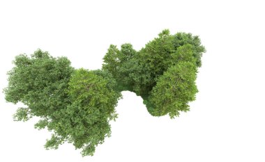 Yeşil orman ıssız. Afişler ve afişler için kullanışlı. 3d oluşturma.