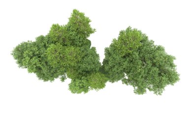 Yeşil orman ıssız. Afişler ve afişler için kullanışlı. 3d oluşturma.