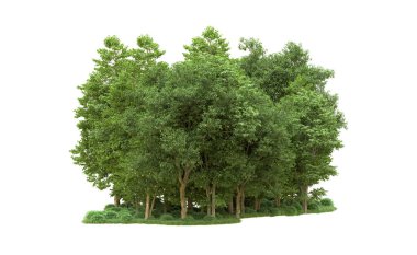 Yeşil orman ıssız. Afişler ve afişler için kullanışlı. 3d oluşturma.