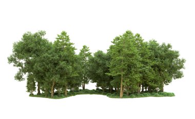 Yeşil orman ıssız. Afişler ve afişler için kullanışlı. 3d oluşturma.
