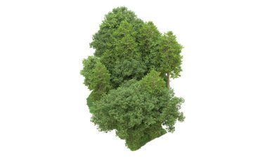 Yeşil orman ıssız. Afişler ve afişler için kullanışlı. 3d oluşturma.